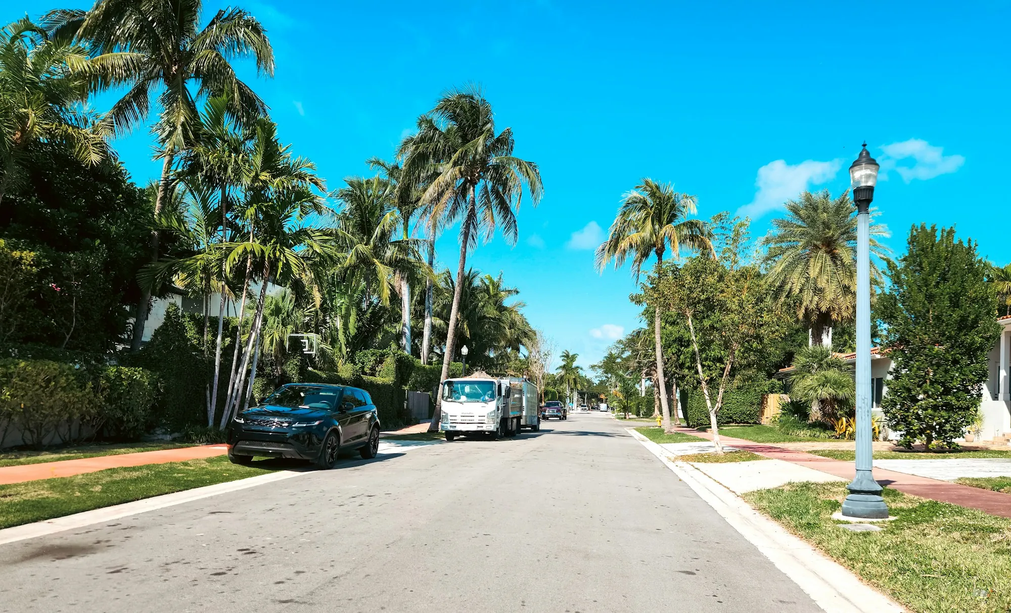 A quiet suburban street of single-storey houses lined with palms